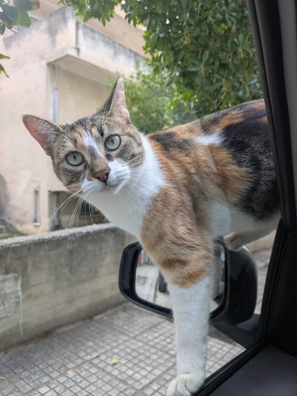 Η Μαριώρα κοιτάζει τον φακό δίπλα σε αυτοκίνητο.